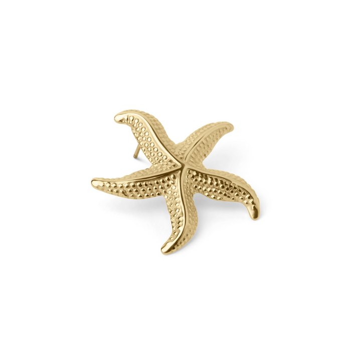 BRIANA | CURVED STARFISH EARRINGS